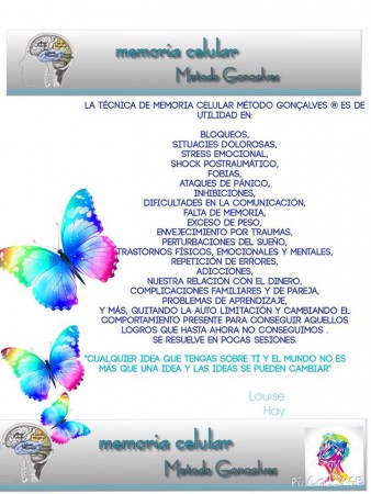 TERAPIAS CON SONIDO Y MEMORIA CELULAR